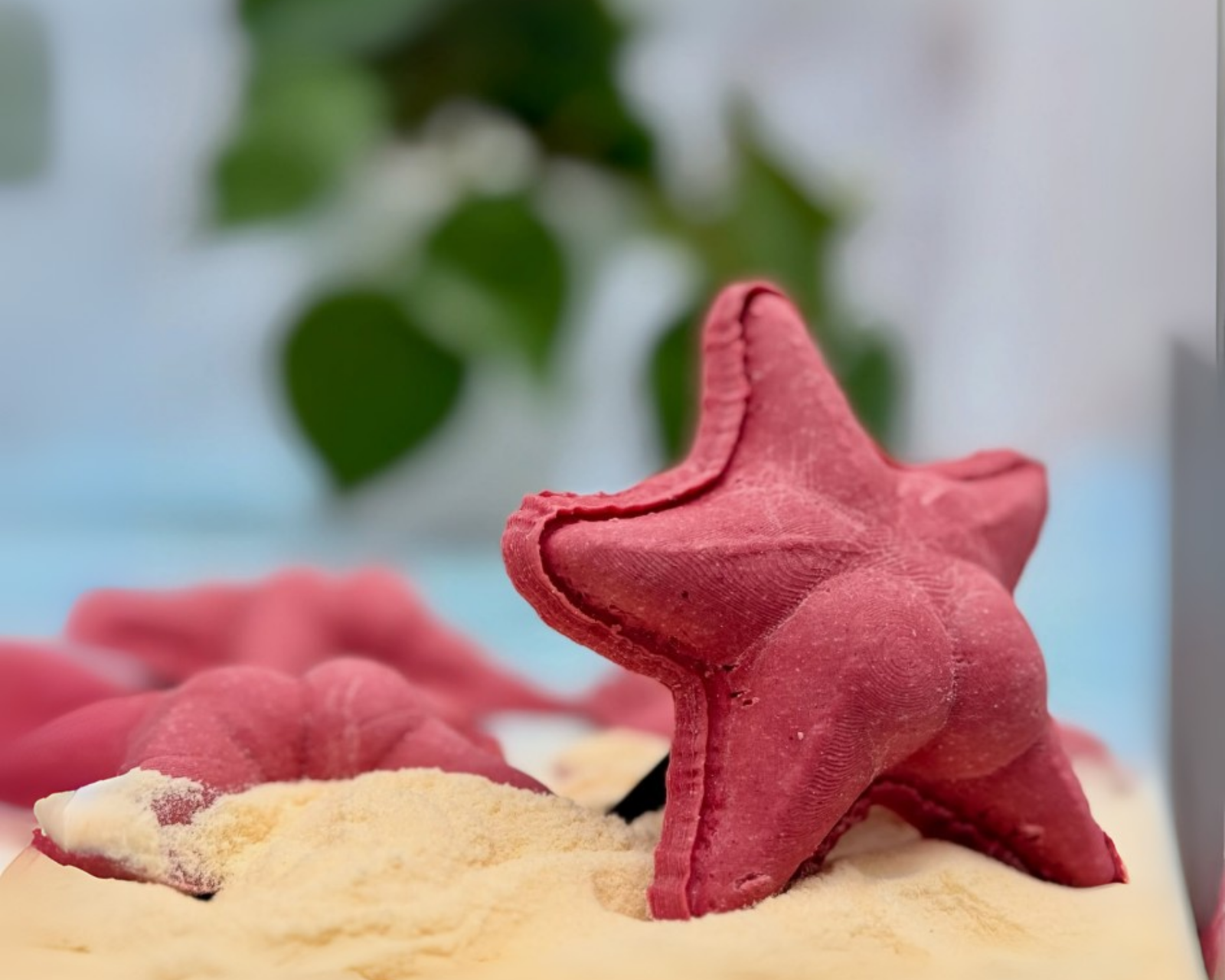 estrella de mar famosa por streaming del conicet en versión pasta casera